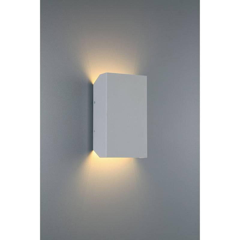 Amora Tall LED Outdoor Wall Sconce in Satin