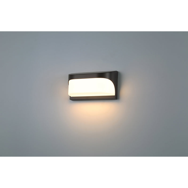 Laguna LED Outdoor Wall Sconce in Black
