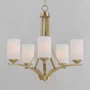 Deven 5 Light Chandelier in Satin Brass