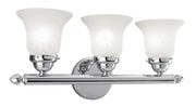 Neptune 3-Light Bath Vanity - Lamps Expo