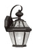 Georgetown 1 Light Outdoor Wall Lantern in Black