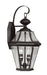 Georgetown 2 Light Outdoor Wall Lantern in Black