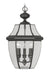 Monterey 3 Light Outdoor Chain Lantern in Black