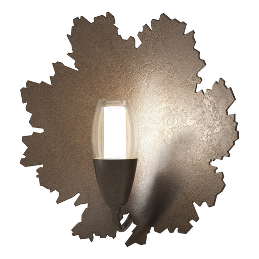 Pangea 10" Bath Sconce in Bronze