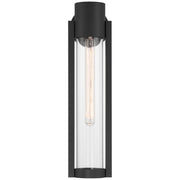 Coastal 20" LED Outdoor Wall Sconce in Black