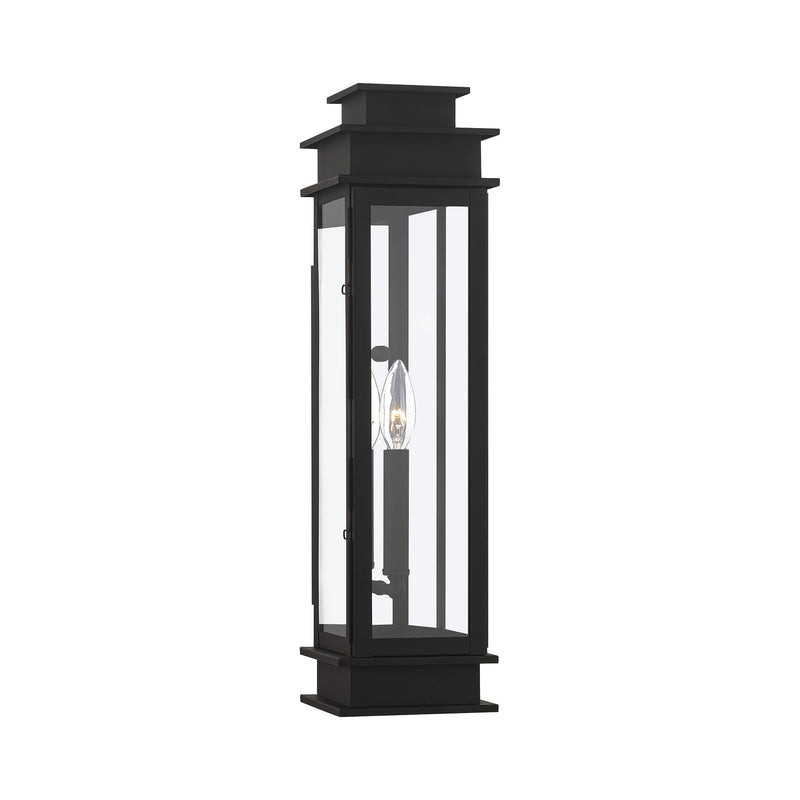 Princeton Tall Outdoor Wall Lantern in Black with Polished Chrome Stainless Steel Reflector