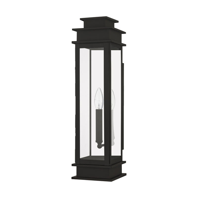 Princeton Tall Outdoor Wall Lantern in Bronze with Polished Chrome Stainless Steel Reflector