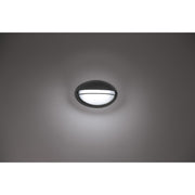 Clifton Oval LED Outdoor Bulkhead Light in Black