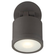 Zone Dual Mount LED Outdoor Wall Sconce in Bronze