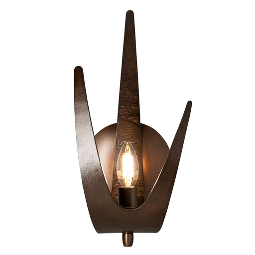 Caribou 13.7" Wall Sconce in Bronze