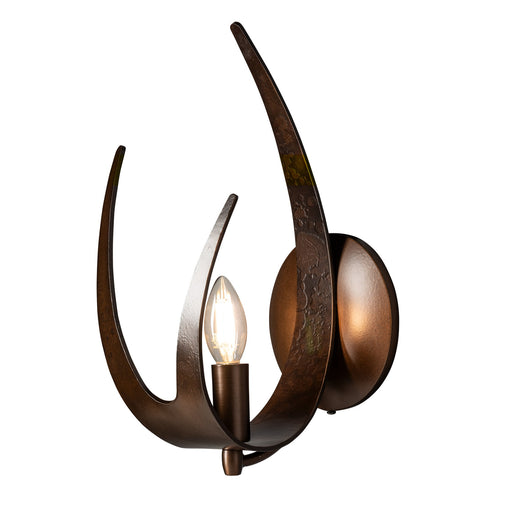 Caribou 13.7" Wall Sconce in Bronze