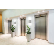 Lux 8" LED Outdoor Wall Sconce in Satin