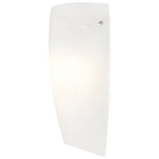 Daphne Wall Sconce in Brushed Steel
