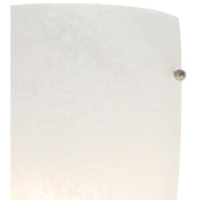 Daphne Wall Sconce in Brushed Steel
