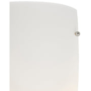 Daphne Wall Sconce in Brushed Steel