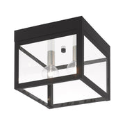 Nyack 2-Light Outdoor Flush Mount in Black with Brushed Nickel Finish Cluster