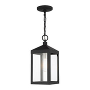 Nyack Small Outdoor Pendant Lantern in Black with Brushed Nickel Cluster