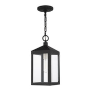 Nyack Small Outdoor Pendant Lantern in Black with Brushed Nickel Cluster