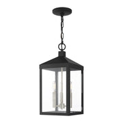 Nyack 3-Light Medium Outdoor Pendant Lantern in Black with Brushed Nickel Cluster