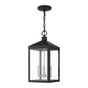Nyack 3-Light Medium Outdoor Pendant Lantern in Black with Brushed Nickel Cluster