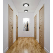 Cobalt Flush Mount in Matte Black