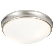 Atom 2-Light Flush Mount in Brushed Steel