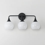 Neve 3 Light Bath Vanity Light in Black