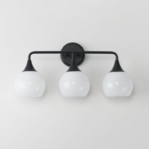 Neve 3 Light Bath Vanity Light in Black