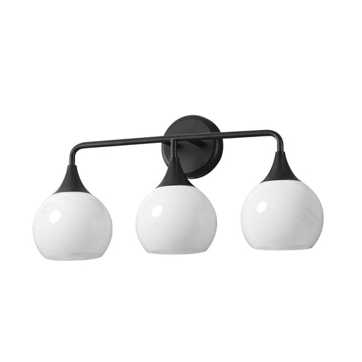 Neve 3 Light Bath Vanity Light in Black