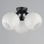 Neve 3 Light Semi-Flush Mount in Black
