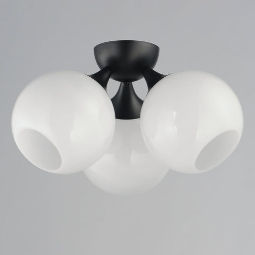 Neve 3 Light Semi-Flush Mount in Black