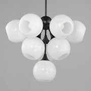 Neve 10 Light Chandelier in Black