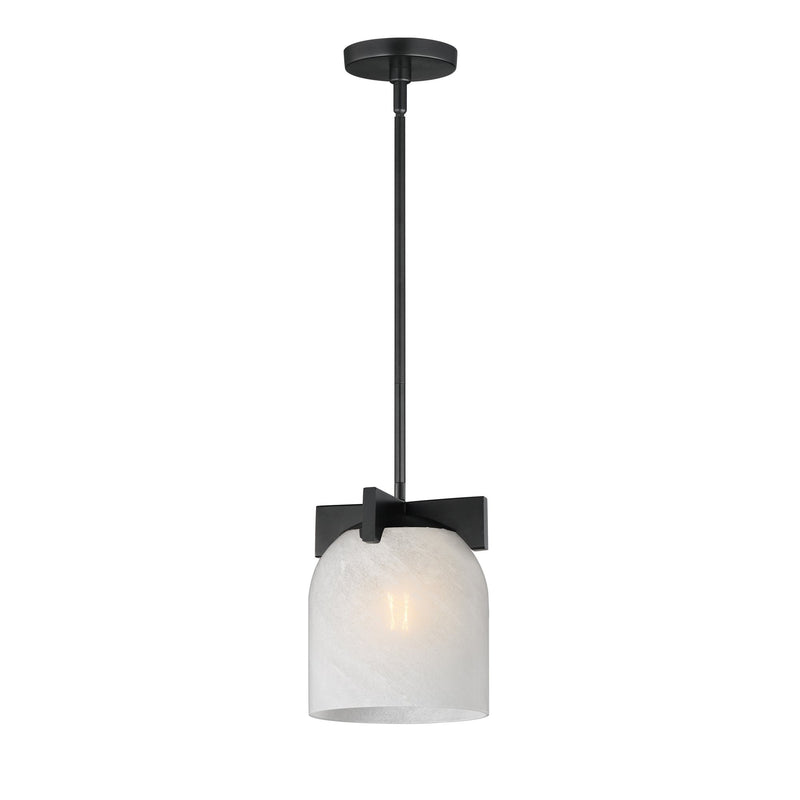 Scoop 1 Light Pendant in Black