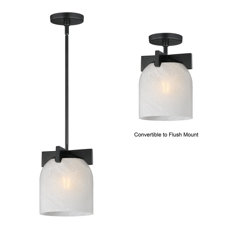 Scoop 1 Light Pendant in Black