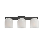 Scoop 3 Light Bath Vanity Light in Black