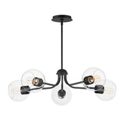 Knox 5 Light Chandelier in Black