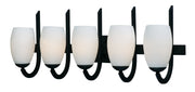 Taylor 5 Light Bath Vanity Light in Textured Black