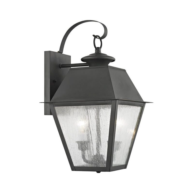 Mansfield 2-Light Medium Outdoor Wall Lantern in Charcoal