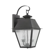 Mansfield 2-Light Medium Outdoor Wall Lantern in Charcoal