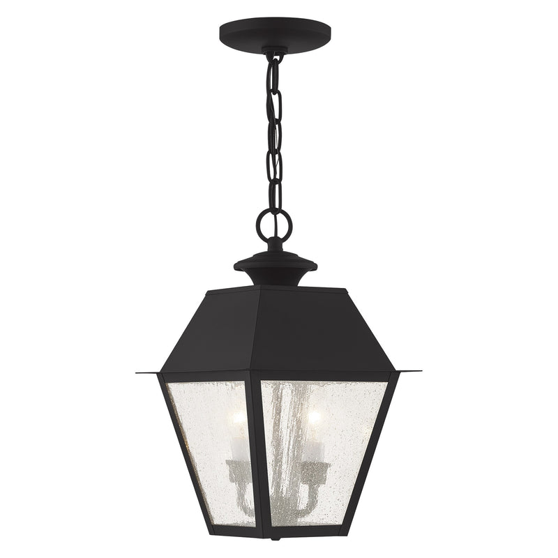 Mansfield 2-Light Medium Outdoor Pendant Lantern in Black