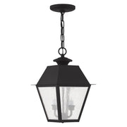 Mansfield 2-Light Medium Outdoor Pendant Lantern in Black