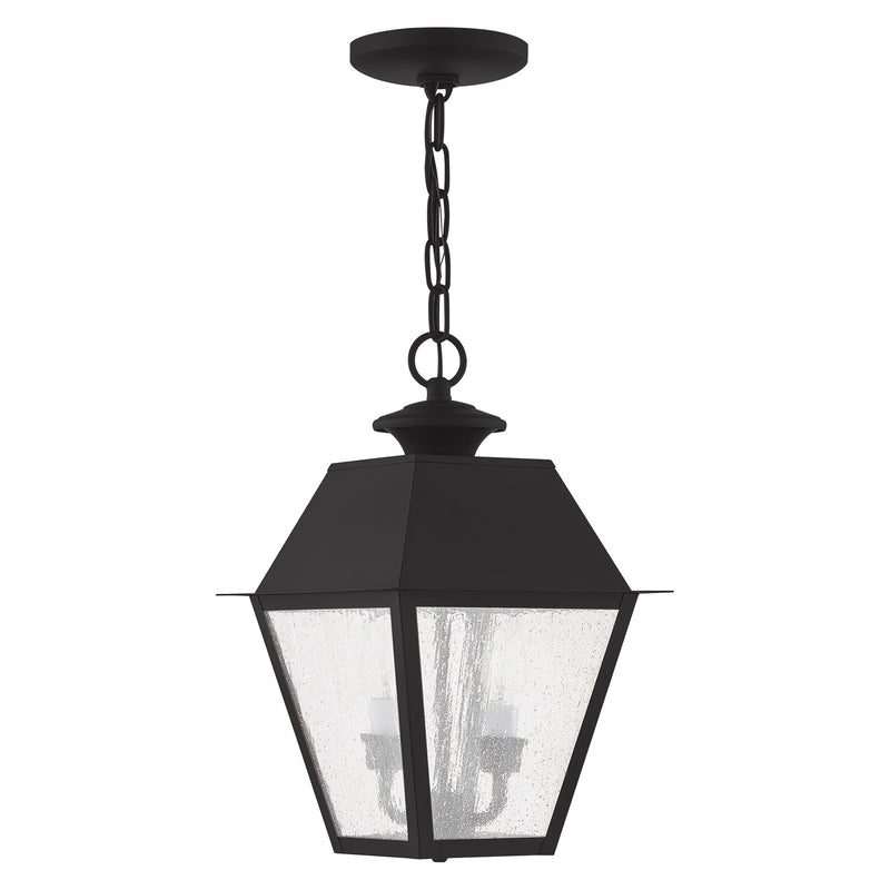 Mansfield 2-Light Medium Outdoor Pendant Lantern in Black
