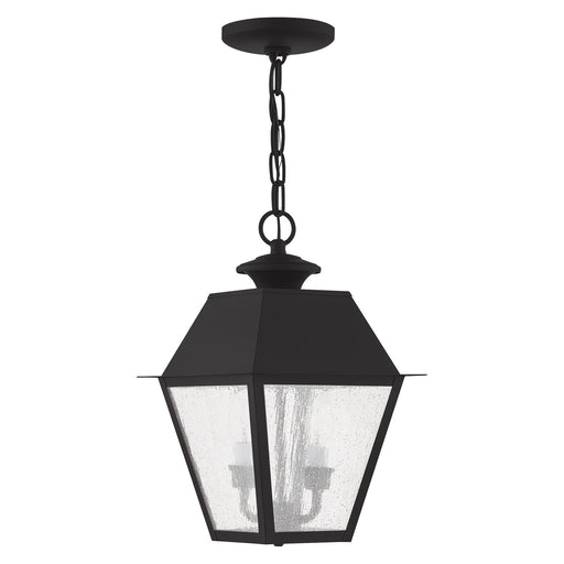 Mansfield 2-Light Medium Outdoor Pendant Lantern in Black