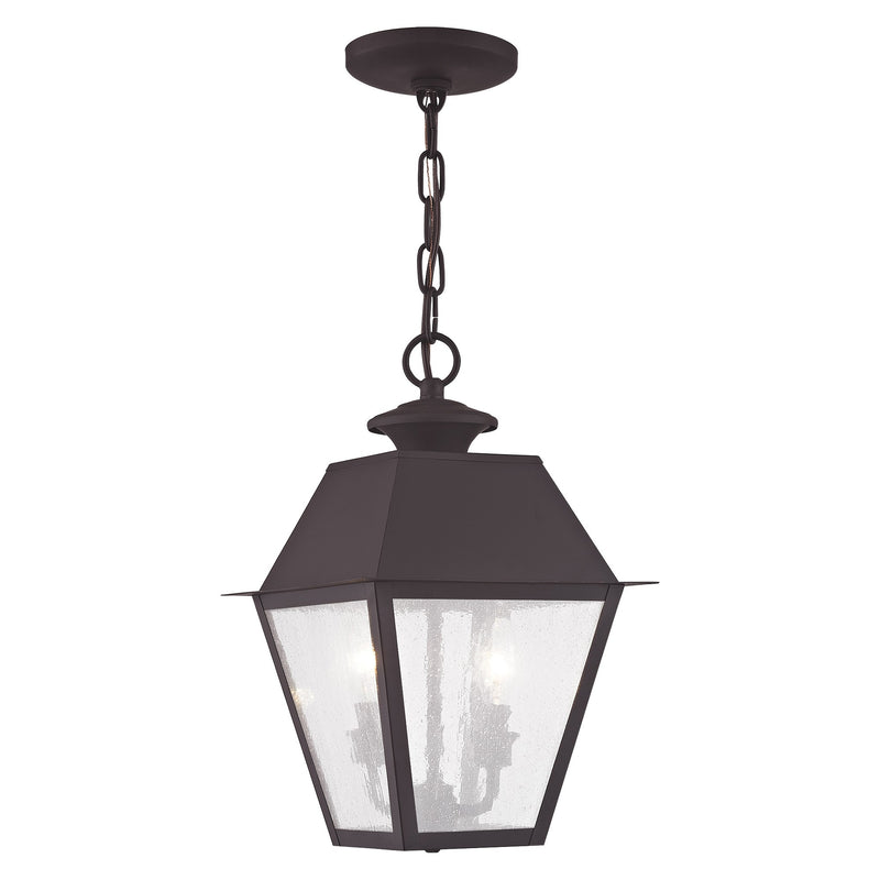 Mansfield 2-Light Medium Outdoor Pendant Lantern in Bronze