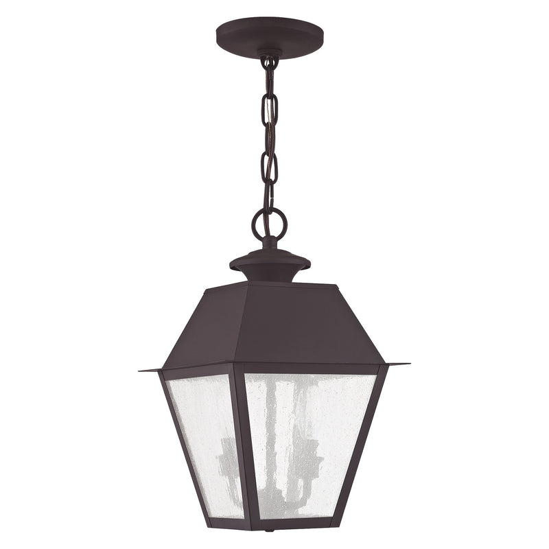 Mansfield 2-Light Medium Outdoor Pendant Lantern in Bronze