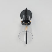 Finch 1 Light Wall Sconce in Dark Bronze / Antique Brass