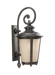 Cape May 29.75" Outdoor Wall Lantern in Burled Iron