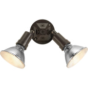 Par Lampholder 2-Light 11" Outdoor Flood Light in Antique Bronze