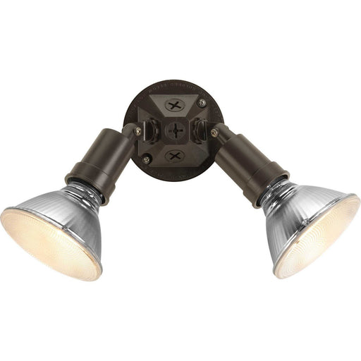Par Lampholder 2-Light 11" Outdoor Flood Light in Antique Bronze