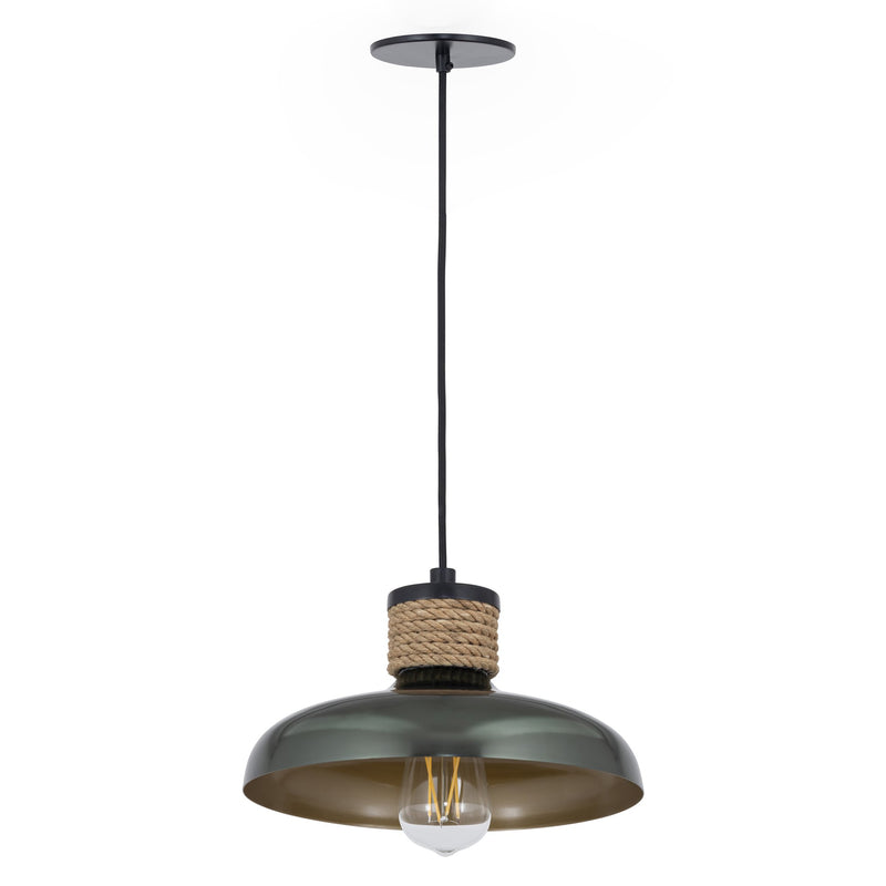 Bingham Small Pendant in June Bug